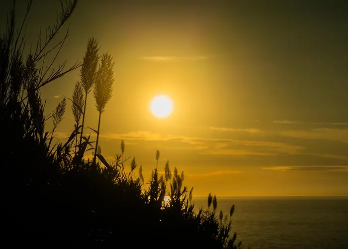 Aparthotel Oceanhuts Coxos Adults Only Ericeira