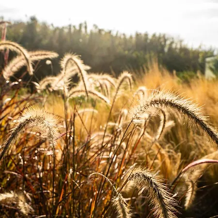 מלון דירות Oceanhuts Coxos Adults Only