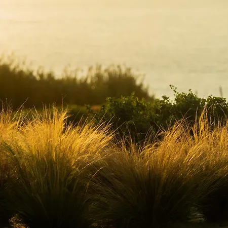 Oceanhuts Coxos Adults Only מלון דירות 4*