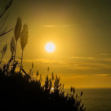 Aparthotel Oceanhuts Coxos Adults Only Ericeira