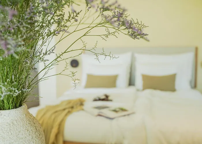 Oceanhuts Coxos Adults Only 埃里塞拉