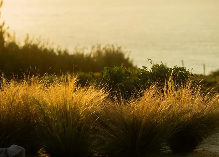 Oceanhuts Coxos Adults Only 公寓式酒店 4*